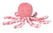 Мягкая игрушка Lapiduo Octopus (коралловый) Nattou (878715) 878715 фото
